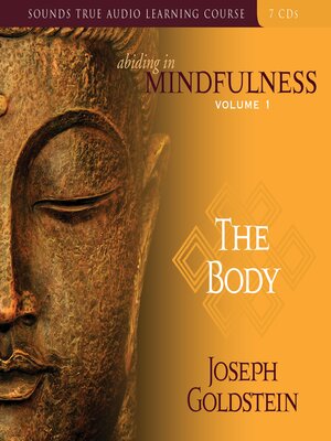 cover image of Abiding in Mindfulness, Volume 1